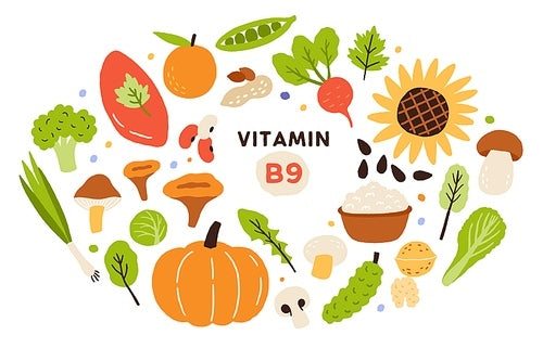Vitamin là gì? Các loại vitamin và vai trò đối với cơ thể