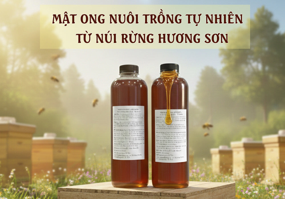 Mật ong nuôi trồng tự nhiên
