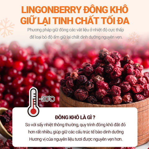 [Daewon] Viên Uống Trắng Da Tinh Chất Quả Mọng Lingonberry Glutathione